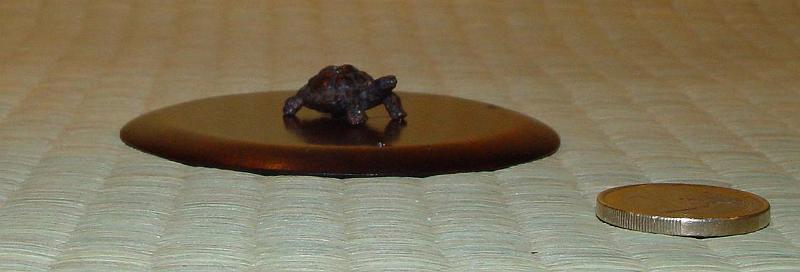 jan10-407a.JPG