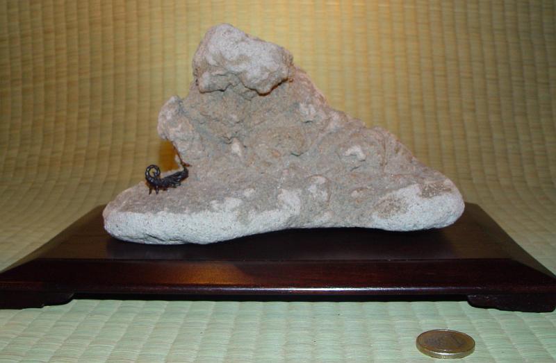 jan10-414a.JPG