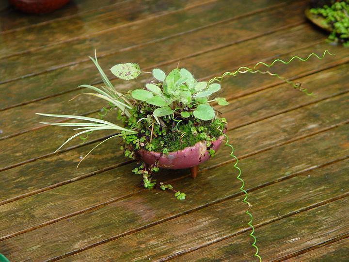 DSC06220.jpg