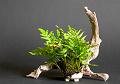 DSCN5679.JPG