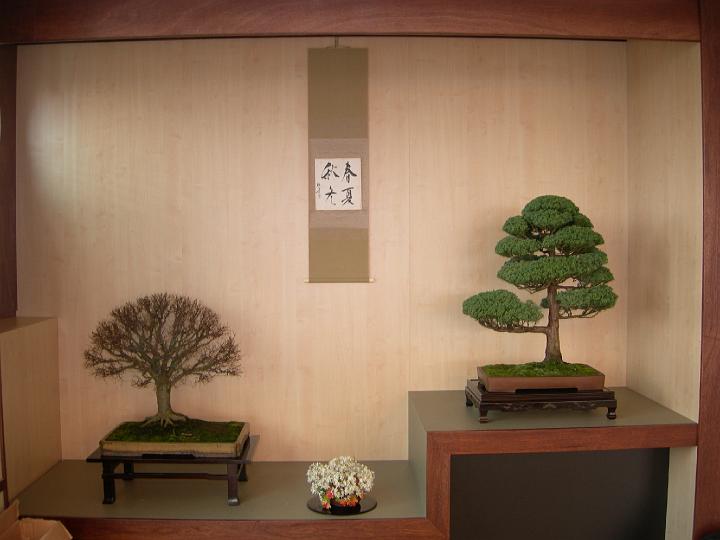 DSCN0377.JPG
