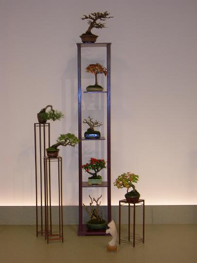 DSCN0392.JPG