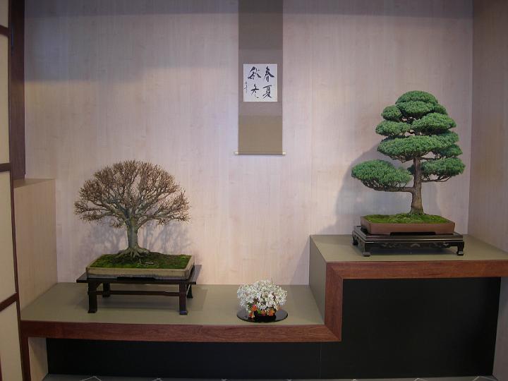 DSCN0399.JPG