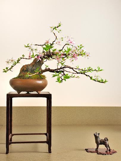 _DSC4915_357.jpg
