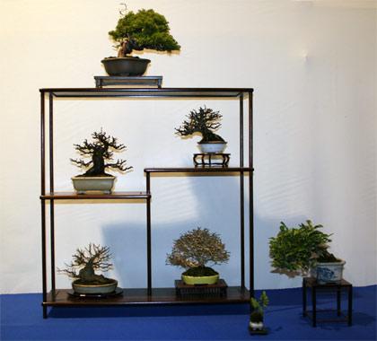 nt2007-5.jpg
