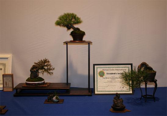 nt2007-6.jpg