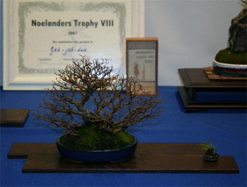 nt2007-7.jpg