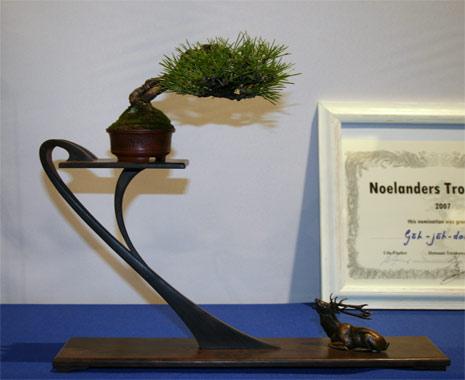 nt2007-8.jpg
