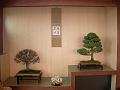 DSCN0377