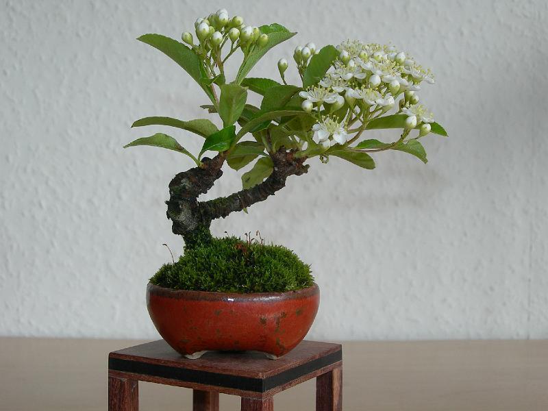 DSCN1597.JPG