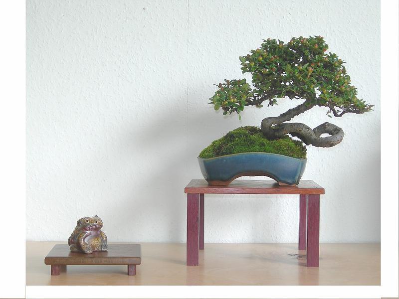 DSCN1634.JPG